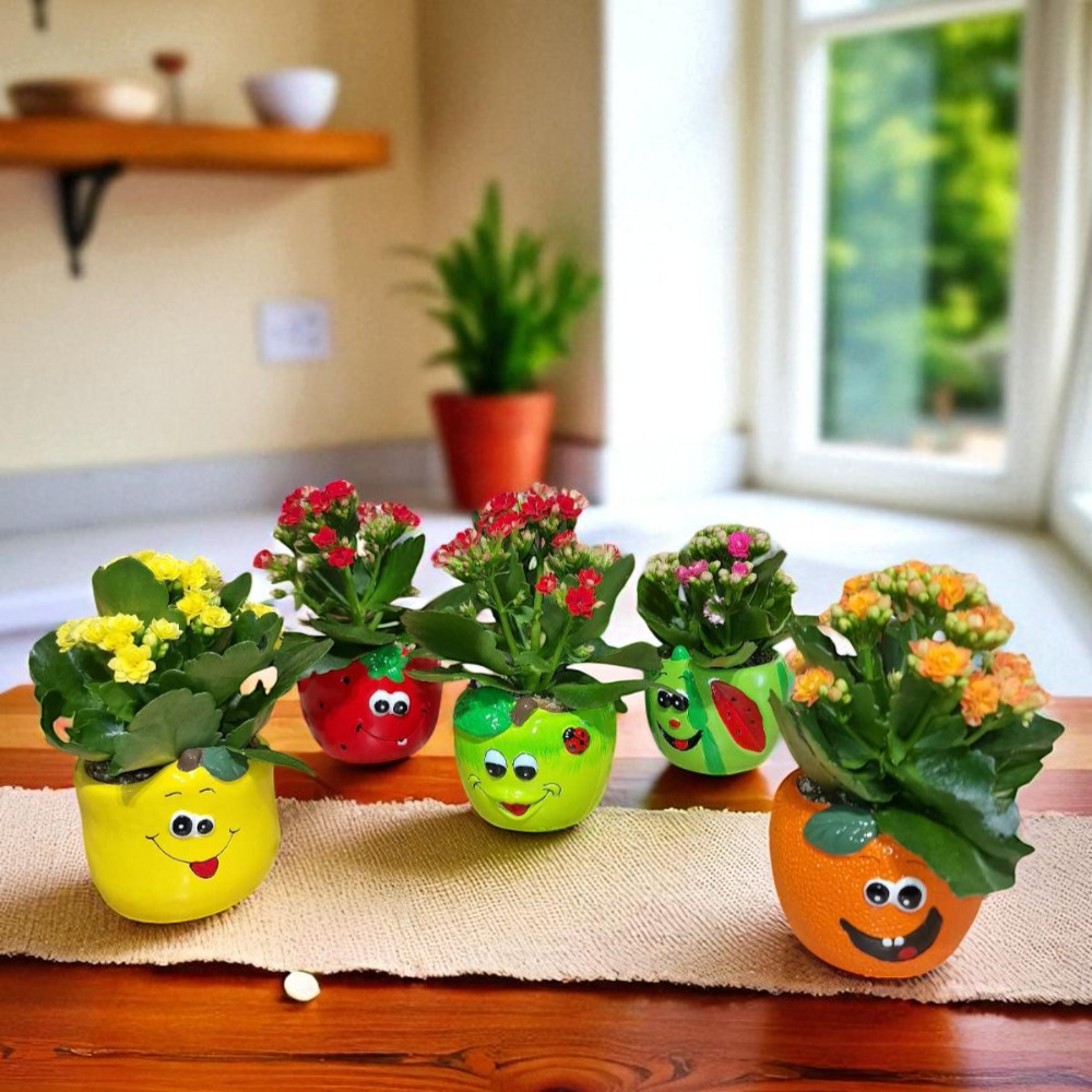 Crazy Fruits