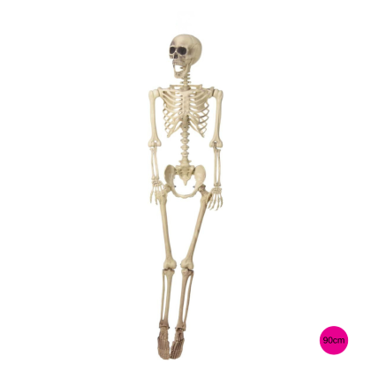 Διακοσμητικός Σκελετός Halloween 90εκ