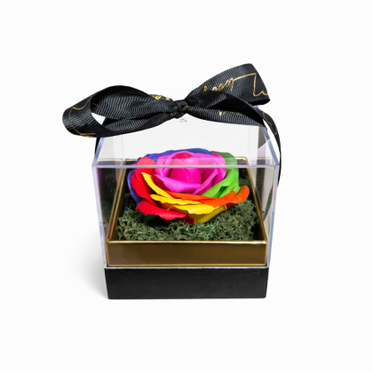 Rainbow Soap Rose σε μαύρο κουτί plexiglass