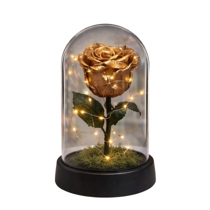Forever Rose Led χρυσό 14x21