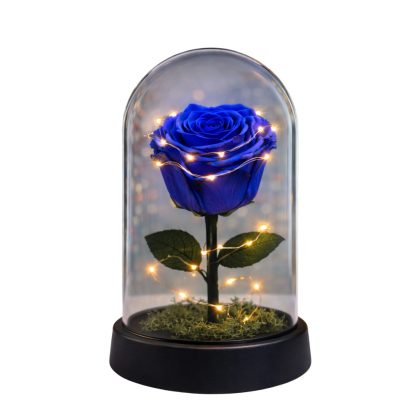 Forever Rose Led μπλε 14x21
