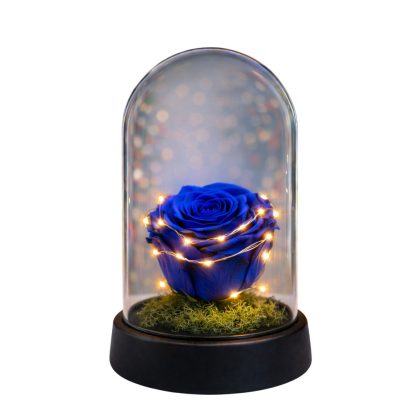 Forever Rose Led μπλε 11x13